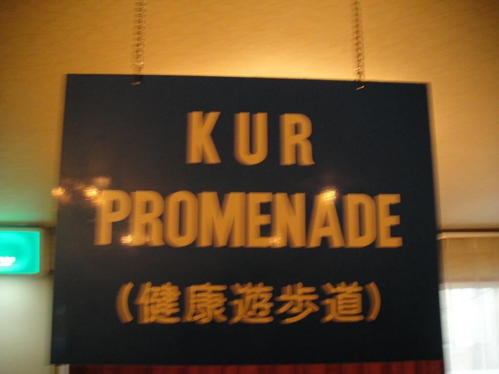 Kurhaus Ishibashi Ryokan Shimoda  Bagian luar foto